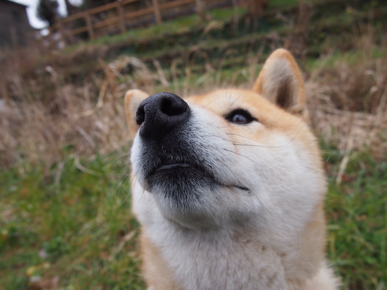 开云体育平台APP-防线基石！皮克制胜头槌定乾坤，佛罗伦萨众志成城稳胜巴萨