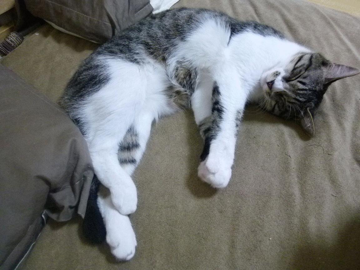 开云sport-选项（请选择或组合使用）